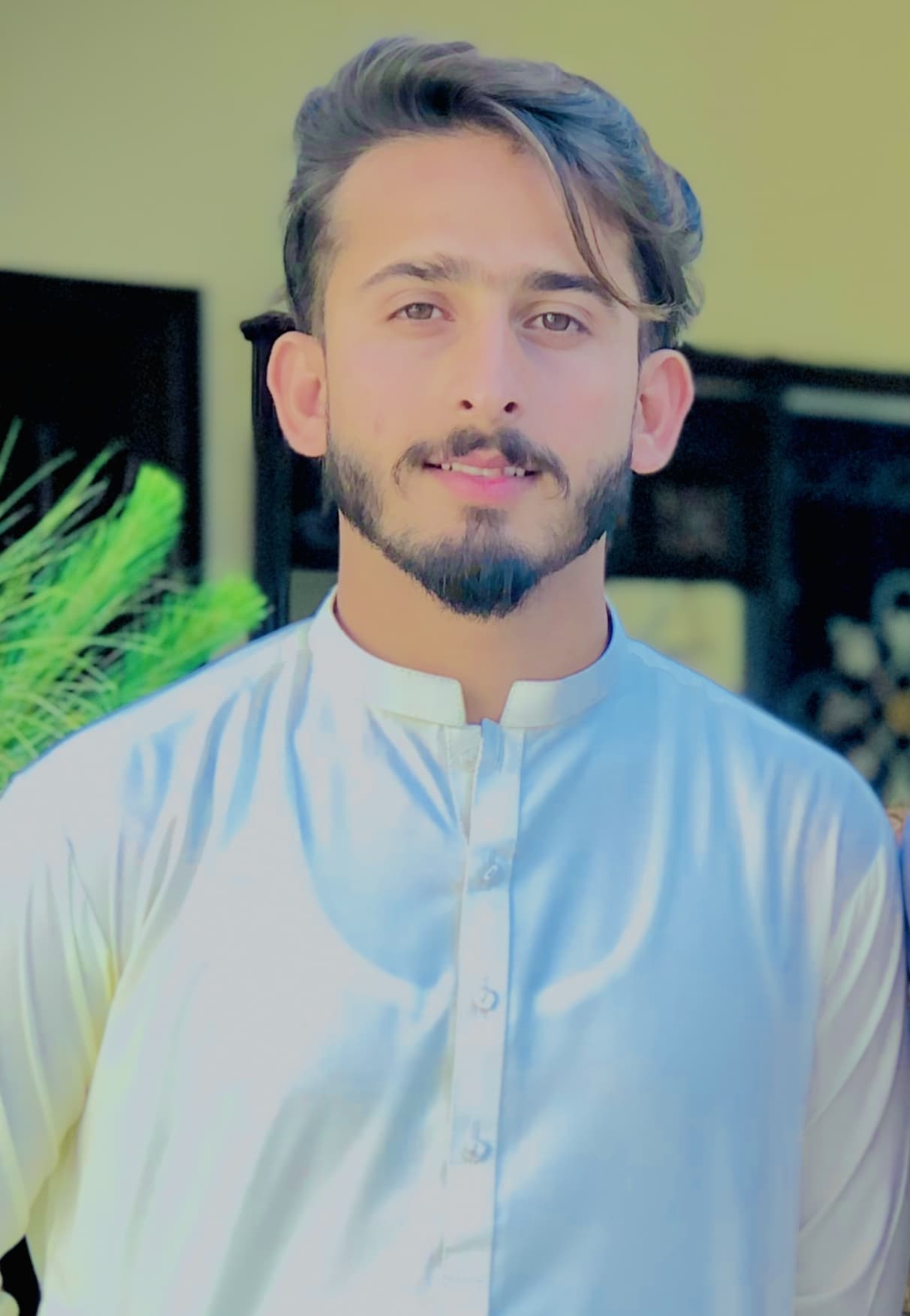 Ameer Hamza — Software Engineer